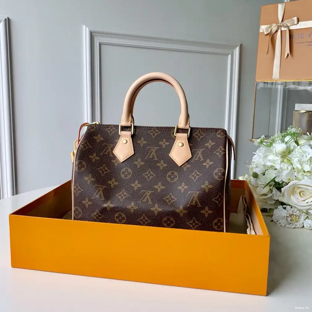 Vuitton 25 Louis SPEEDY 0606